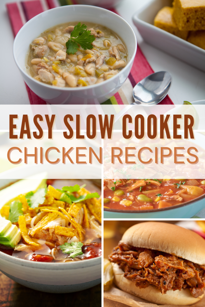 Best Chicken Crockpot Slow Cooker Recipe Meals